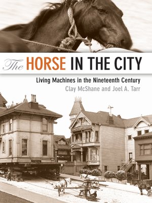cover image of The Horse in the City